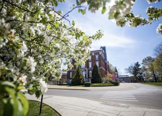 Spring blooms on campus